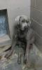 Dudley.2