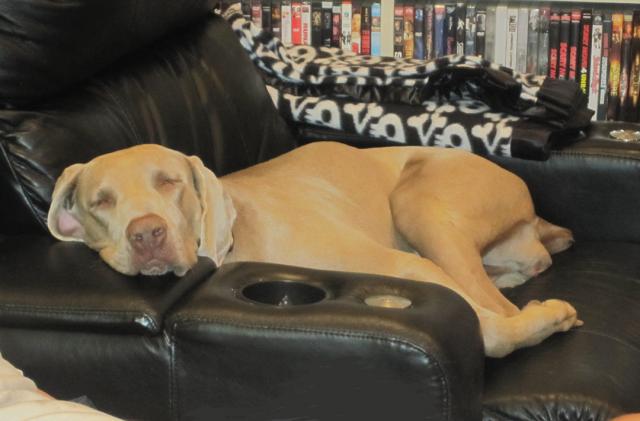 DutchessSnoozingRecliner.8.30.12