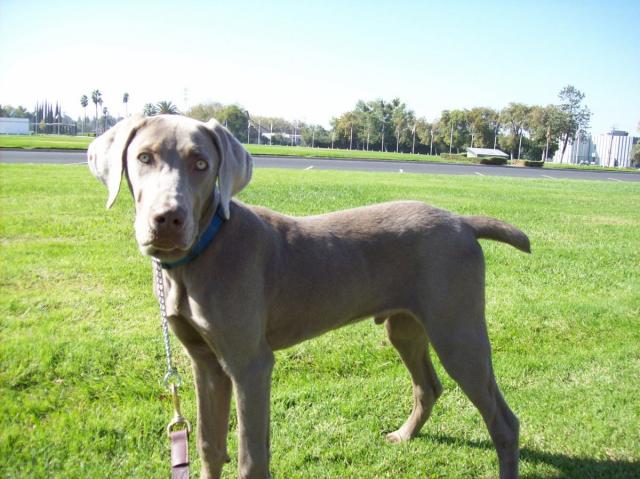 Hudson