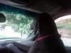 IMG00126-20100810-1740
