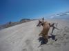 Beach play with a new friend