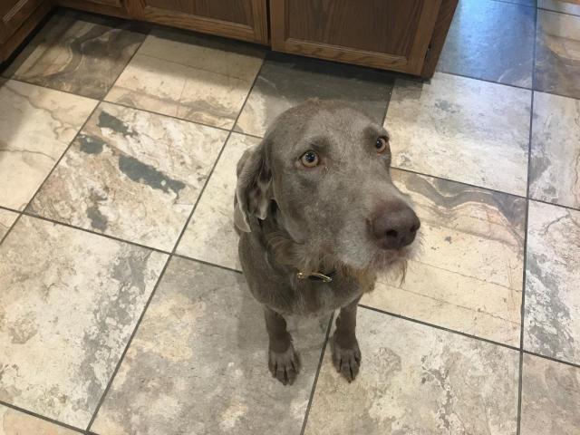 Mallie 6/24-1.JPG