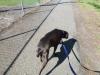 Katie.walking