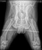 Katie_Rescue_18070-20140425154155506-original