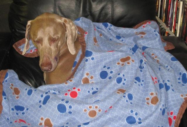 MaddieBlankieRecliner.4.13.13