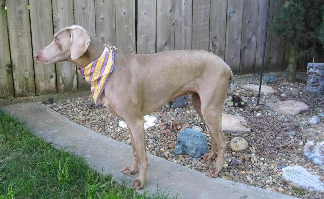 MaddieSideView.4.14.13