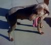 Mattie5