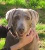Ruby.Face