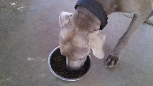 Spencer.1