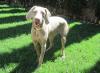 WendyStandingSideView.6.17.12