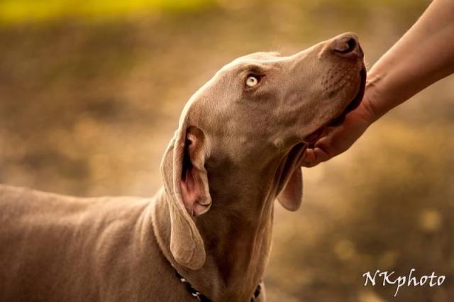 jake1
