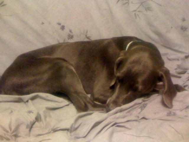 sleeping