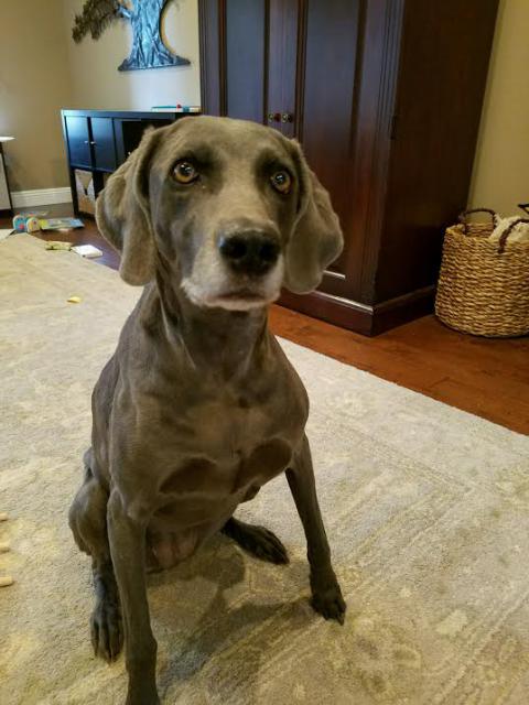 Remi sitting
