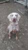 Jerry(Visalia)
