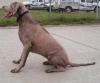 weim_side