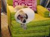 westley.greenchair